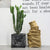 Storage Container for Vegetables, Bread, and Plants