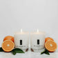 Fruity Candle Duo