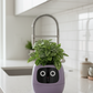 Smart Planter with AI
