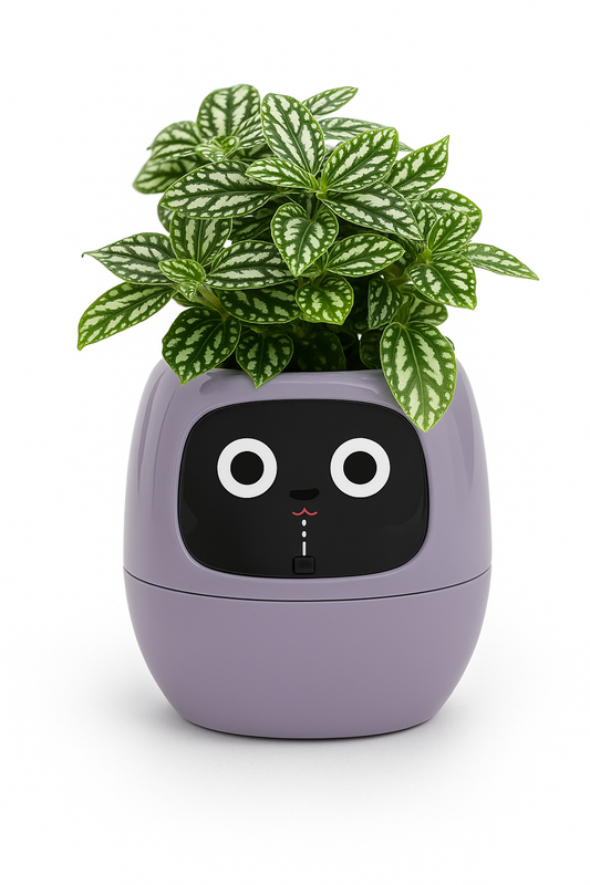 Smart Planter with AI