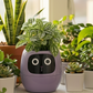 Smart Planter with AI