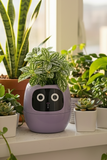 Smart Planter with AI