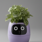 Smart Planter with AI