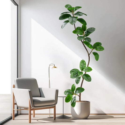 Bailikang 6ft Artificial Rubber Tree