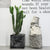 Storage Container for Vegetables, Bread, and Plants