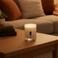Vinyl & Whiskey Soy Candle