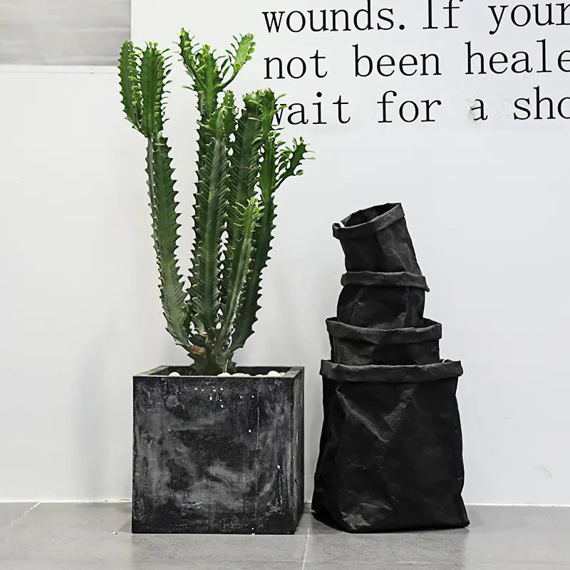 Storage Container for Vegetables, Bread, and Plants